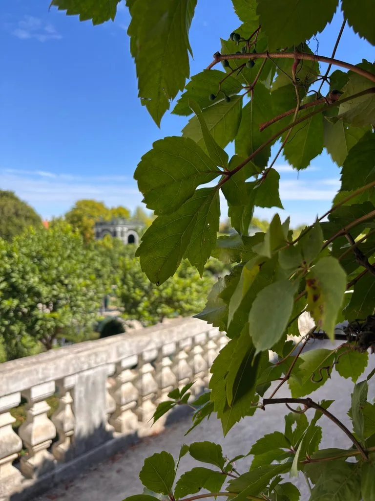 Schönbrunn Palace gardens