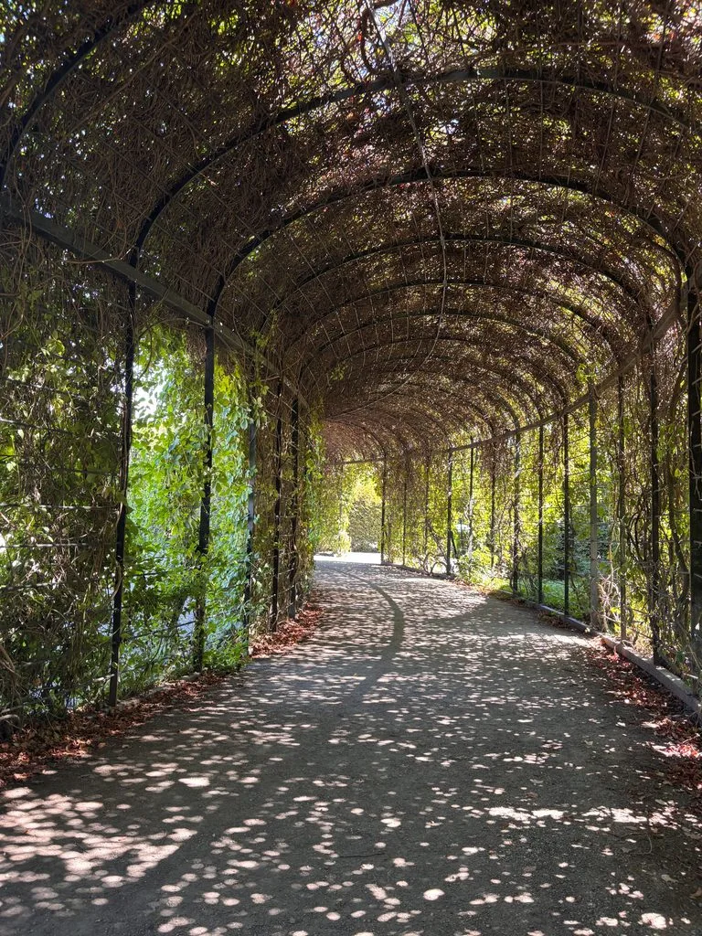 Schönbrunn Palace garden