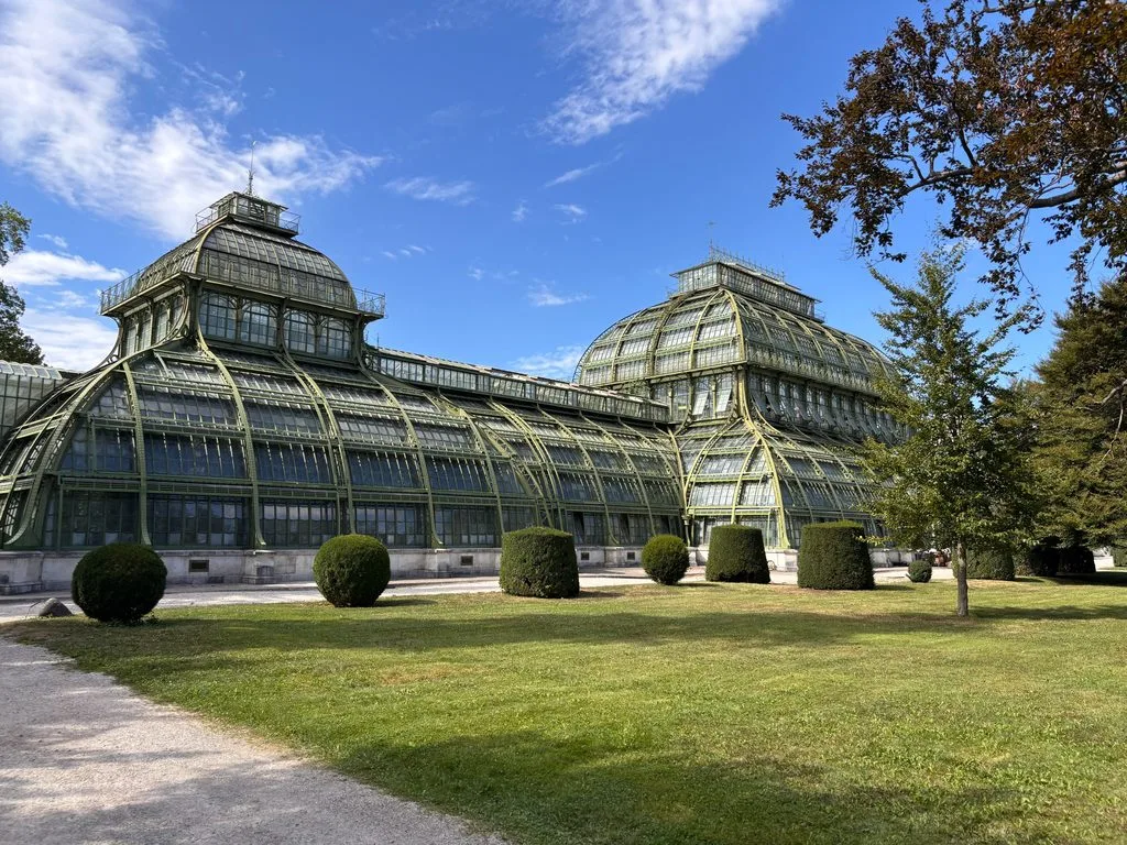 Schönbrunn Palace palm orangery